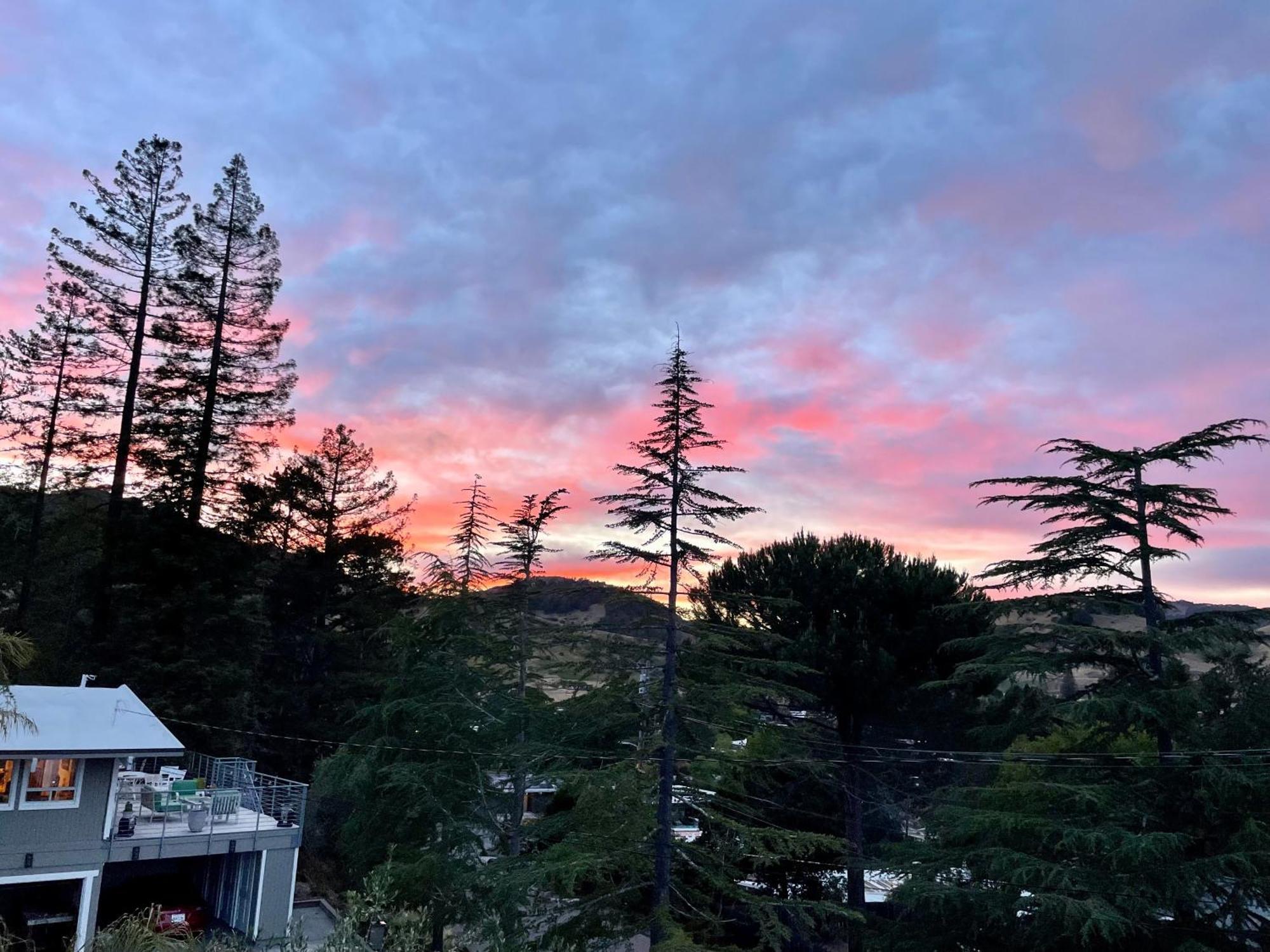 Luxury Suite With Views - San Rafael, Gateway To Sf & Wine Country Ngoại thất bức ảnh