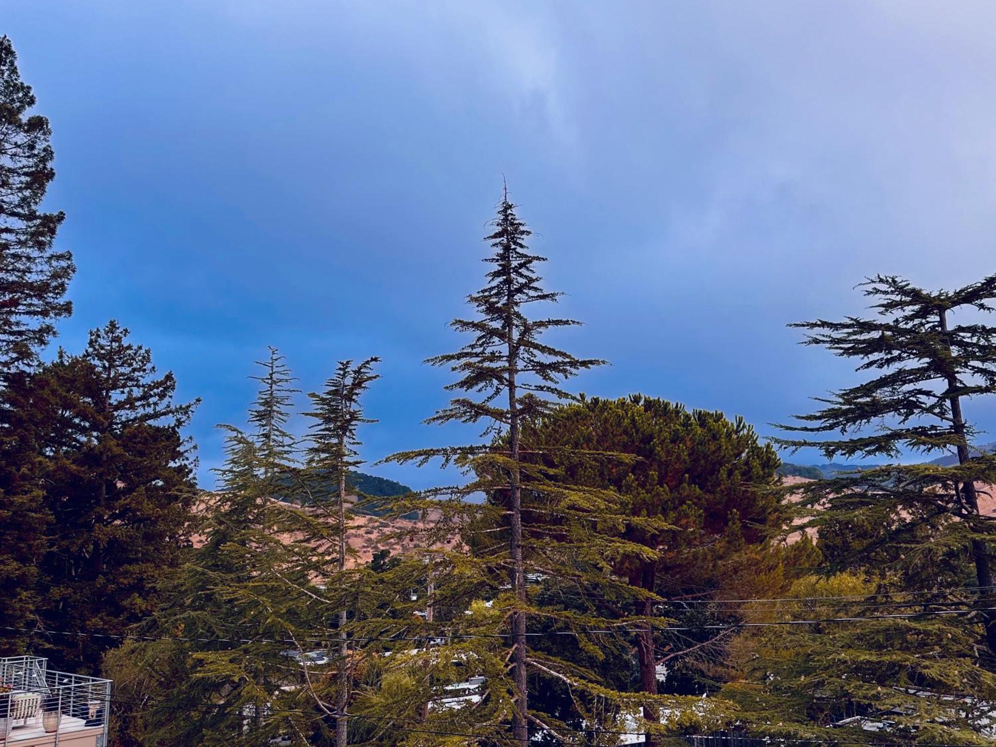 Luxury Suite With Views - San Rafael, Gateway To Sf & Wine Country Ngoại thất bức ảnh