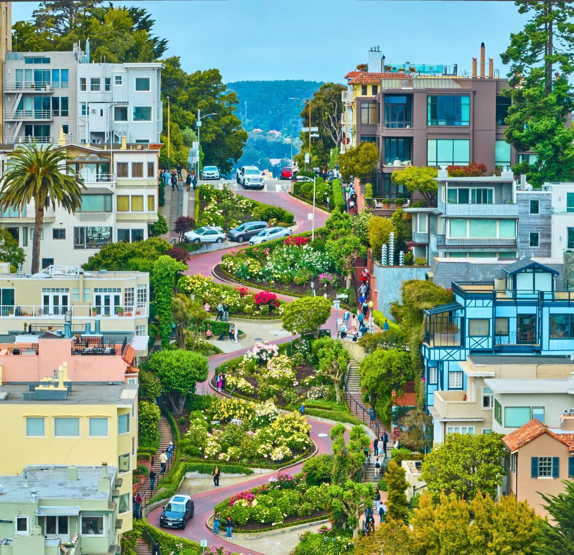 Luxury Suite With Views - San Rafael, Gateway To Sf & Wine Country Ngoại thất bức ảnh